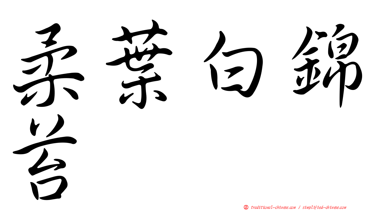 柔葉白錦苔