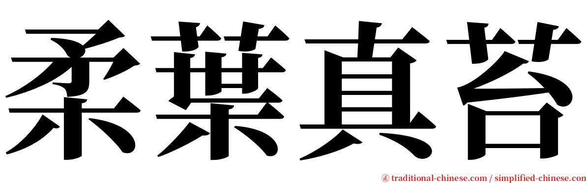 柔葉真苔 serif font