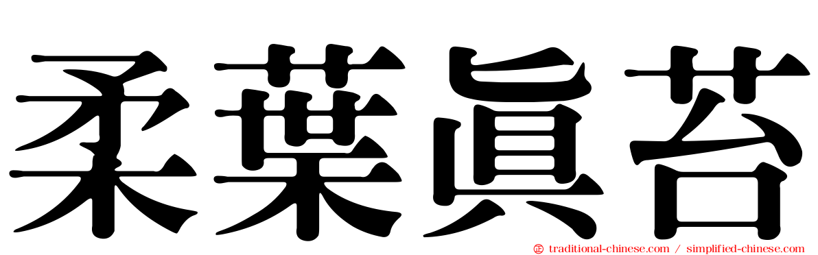 柔葉真苔