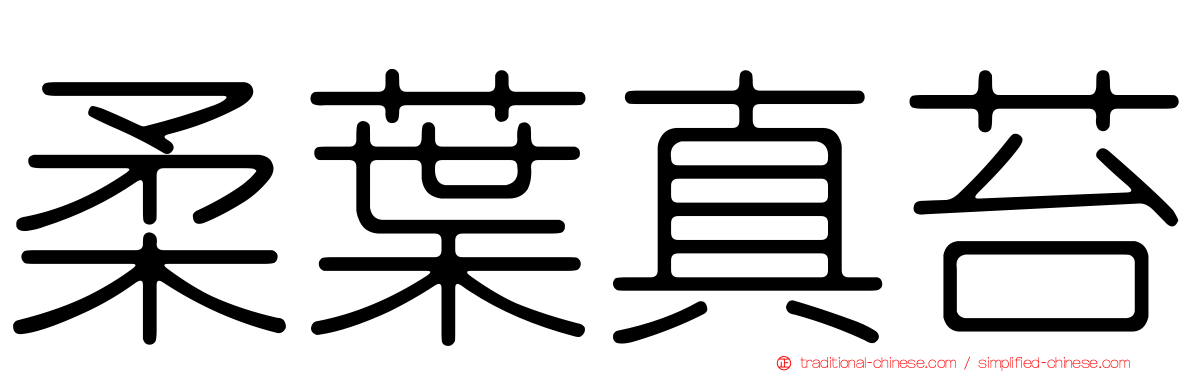 柔葉真苔