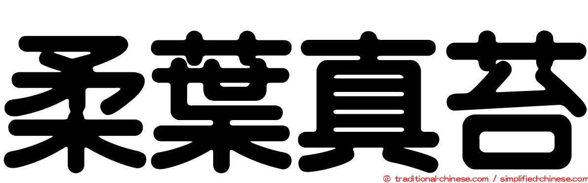柔葉真苔