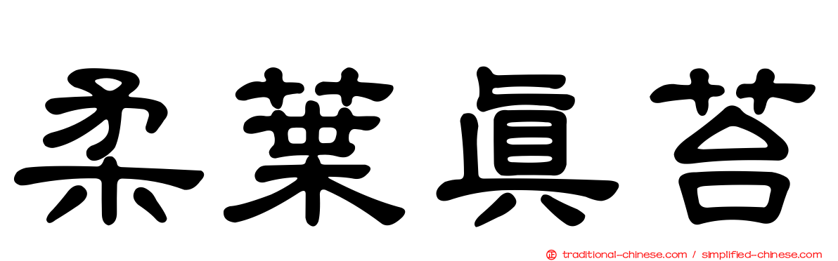 柔葉真苔
