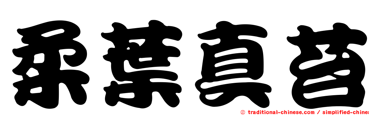 柔葉真苔