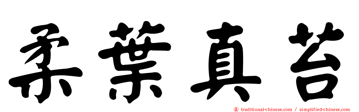 柔葉真苔
