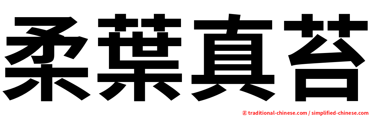 柔葉真苔