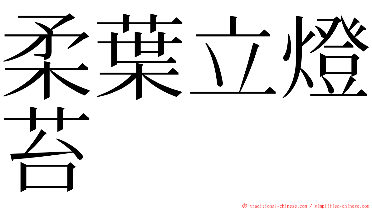 柔葉立燈苔 ming font