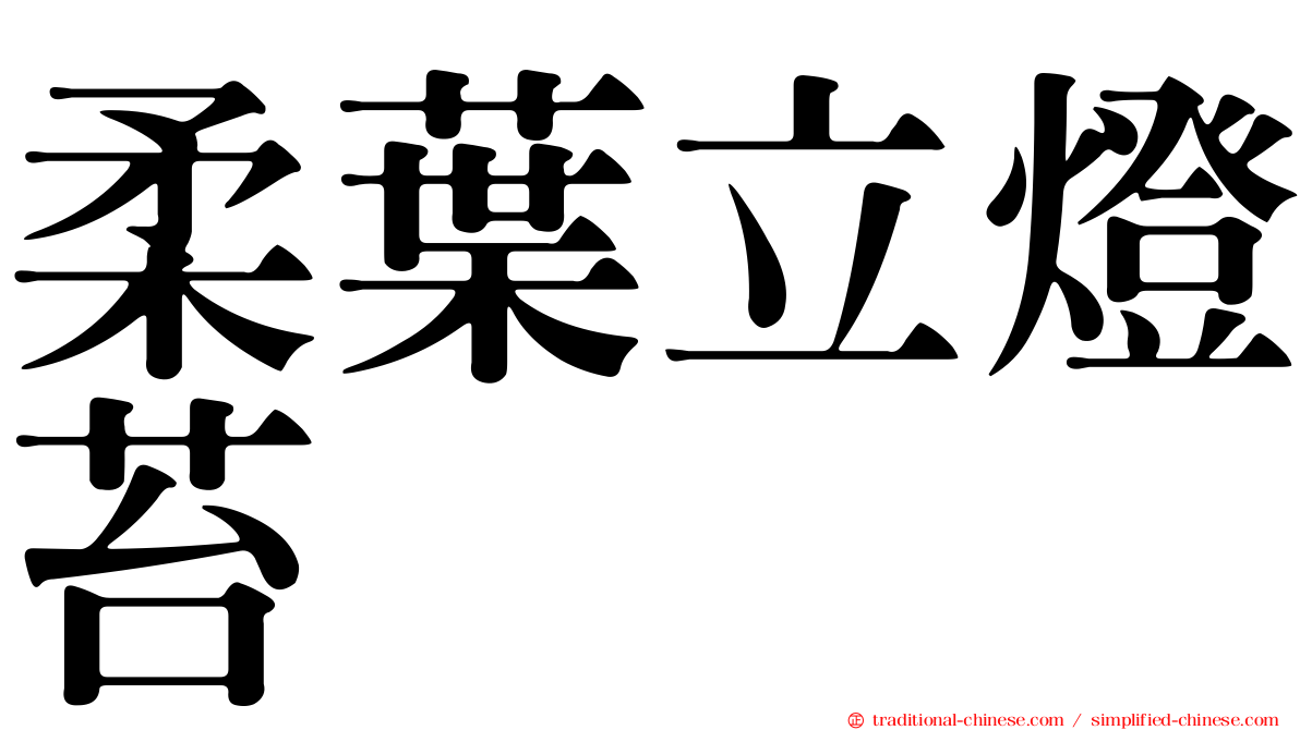 柔葉立燈苔