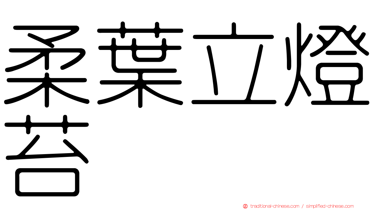 柔葉立燈苔