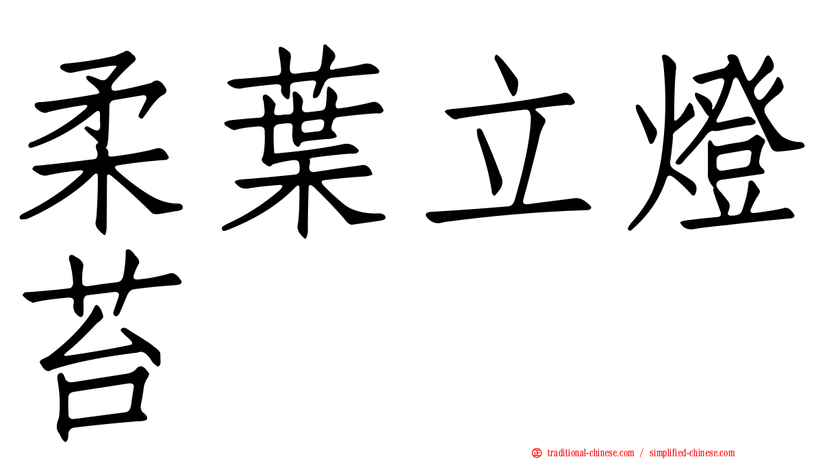 柔葉立燈苔