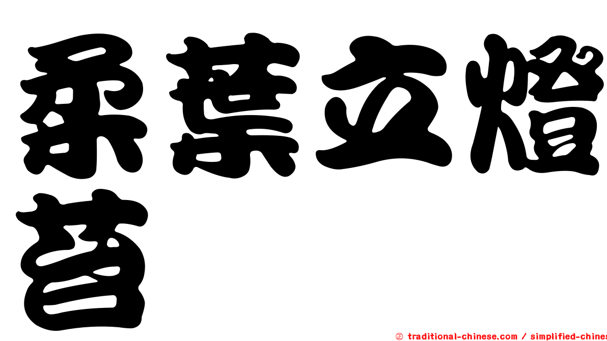 柔葉立燈苔