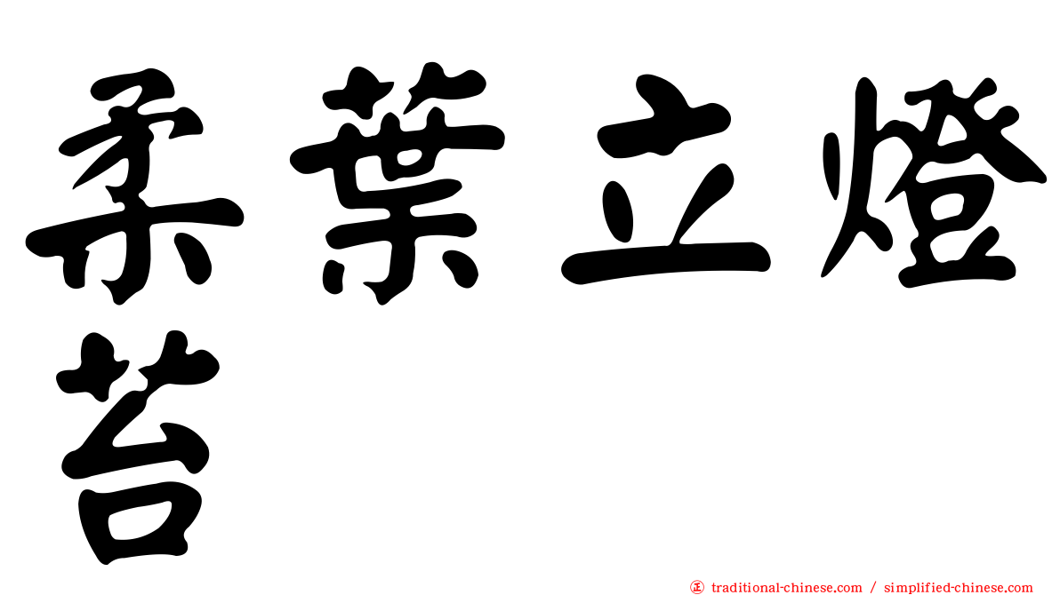柔葉立燈苔