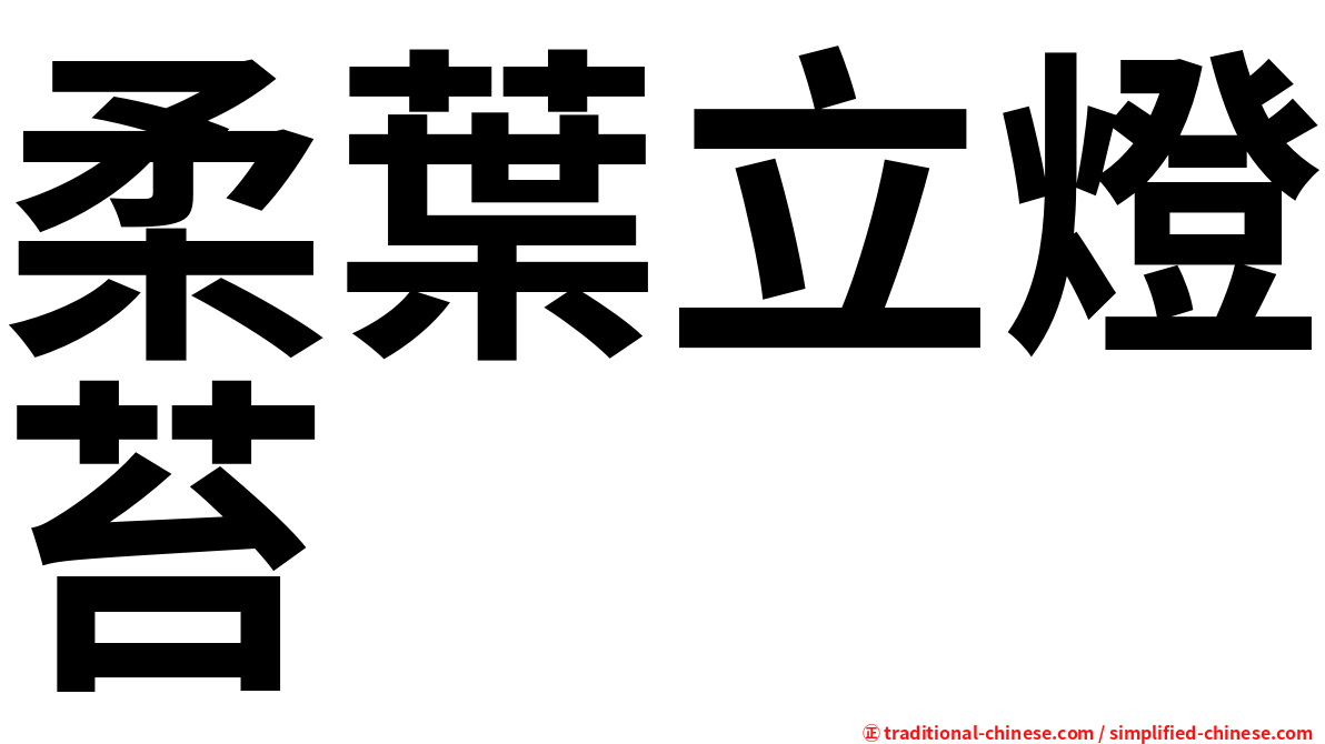 柔葉立燈苔