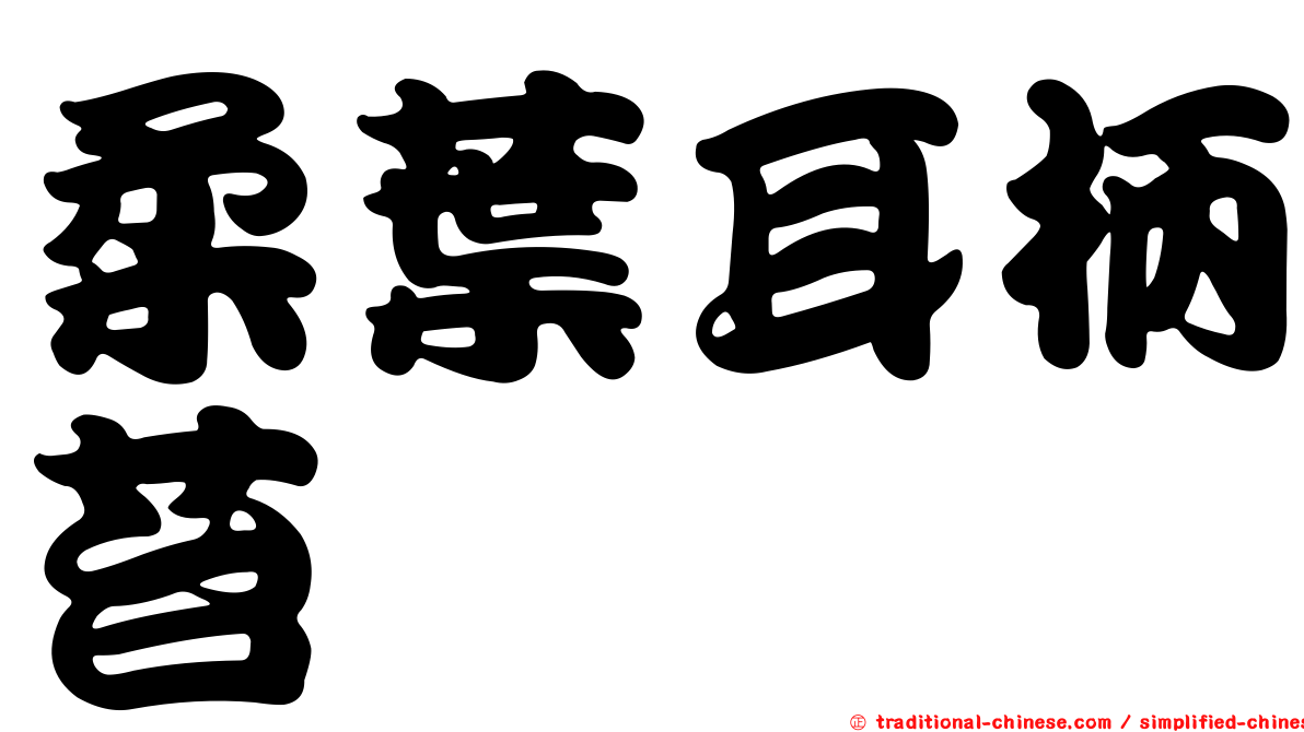 柔葉耳柄苔