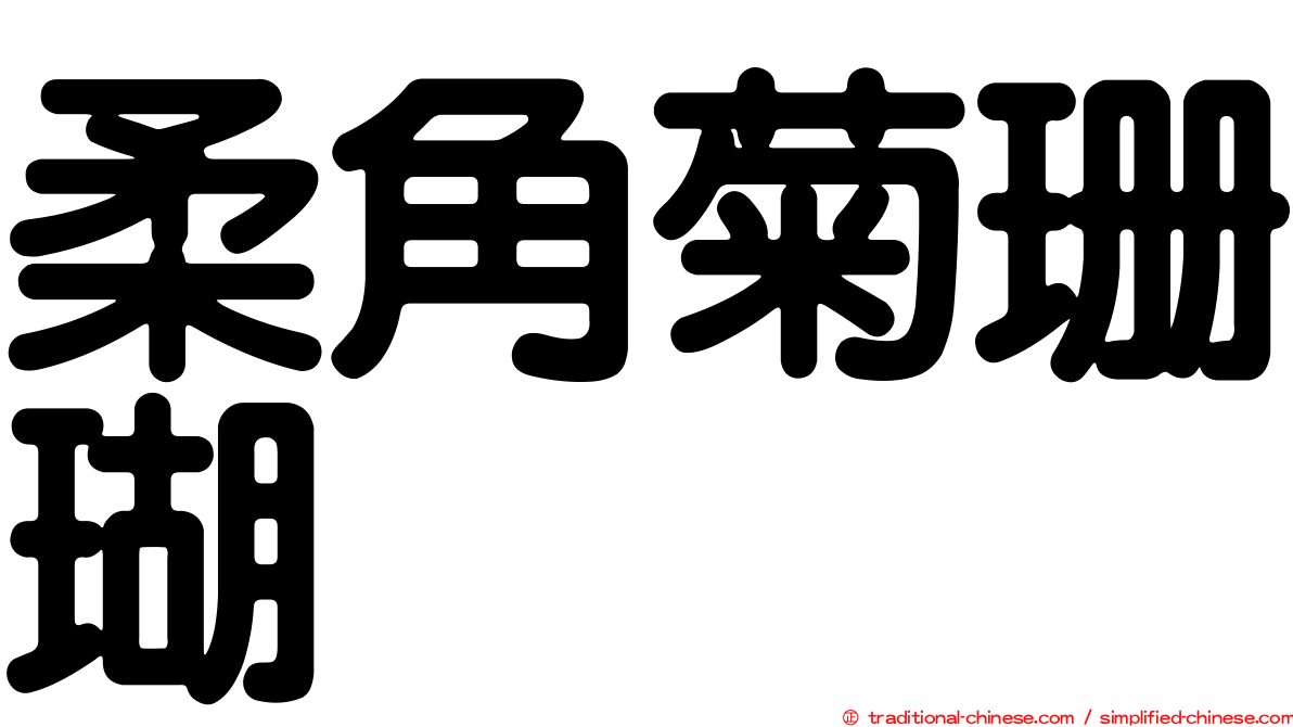 柔角菊珊瑚