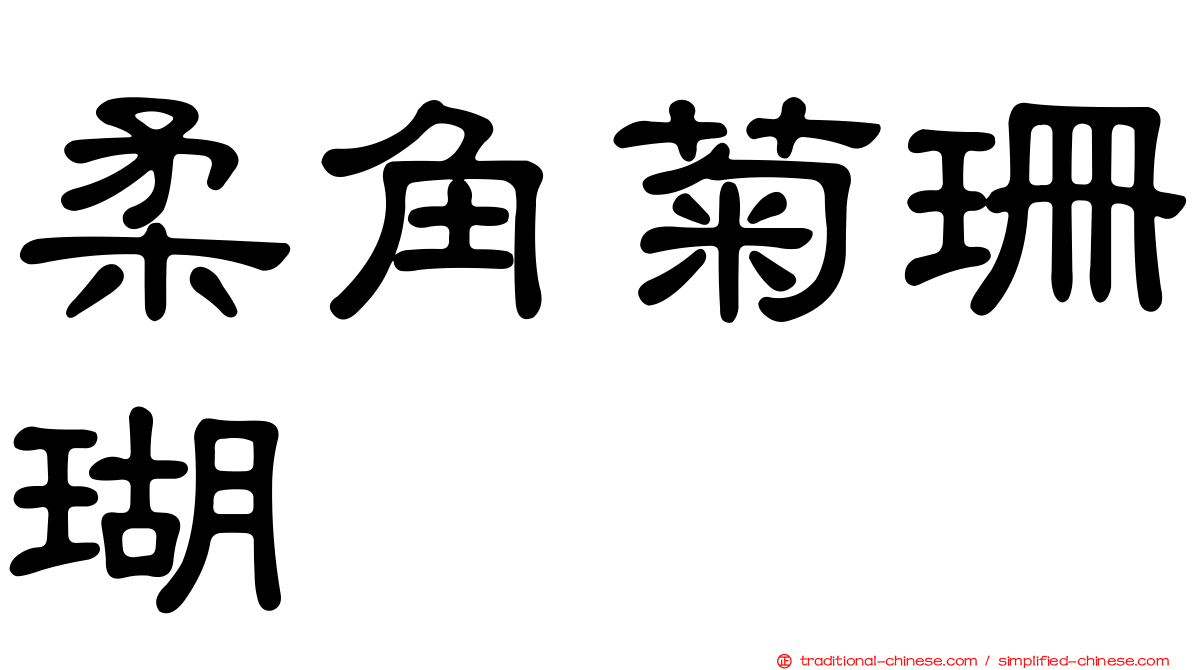 柔角菊珊瑚