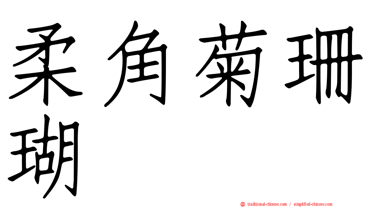 柔角菊珊瑚