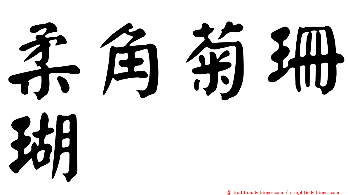柔角菊珊瑚
