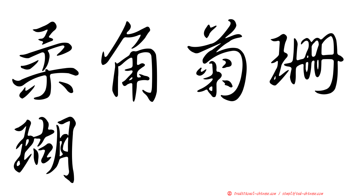 柔角菊珊瑚