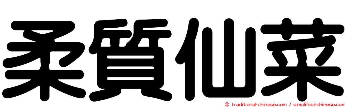 柔質仙菜