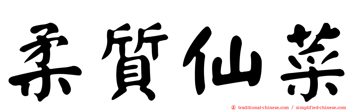 柔質仙菜
