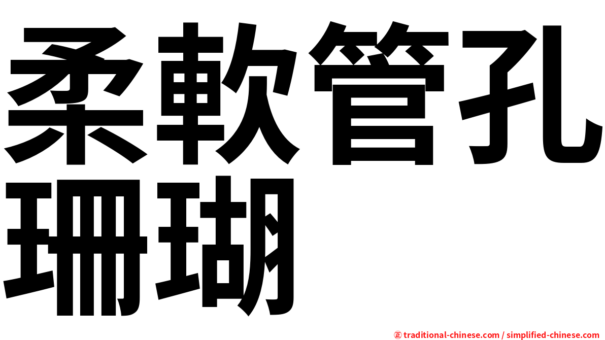 柔軟管孔珊瑚