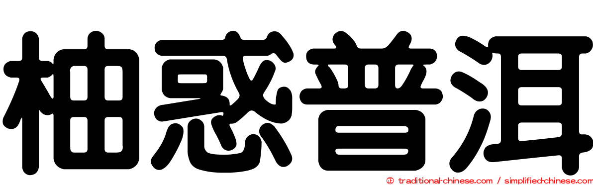 柚惑普洱
