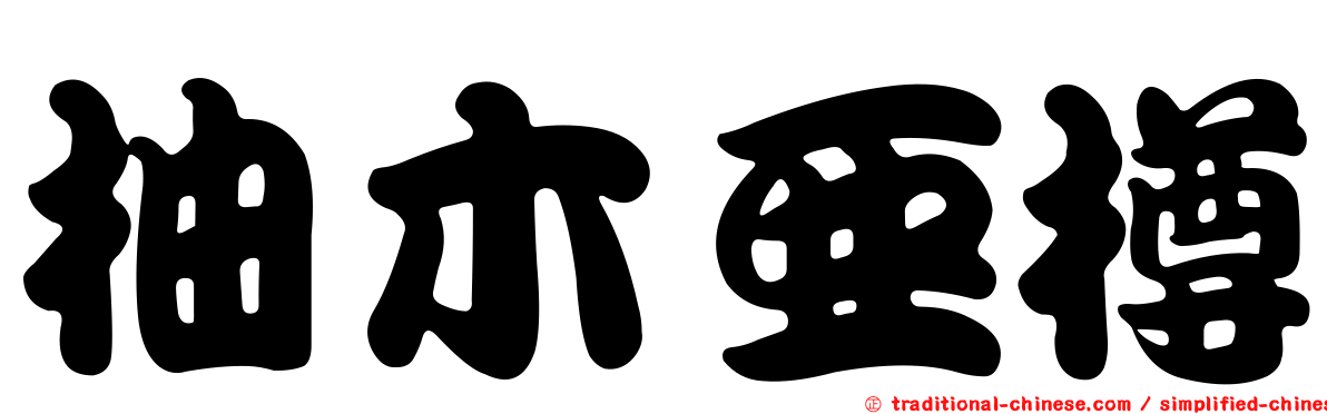 柚木亞樽