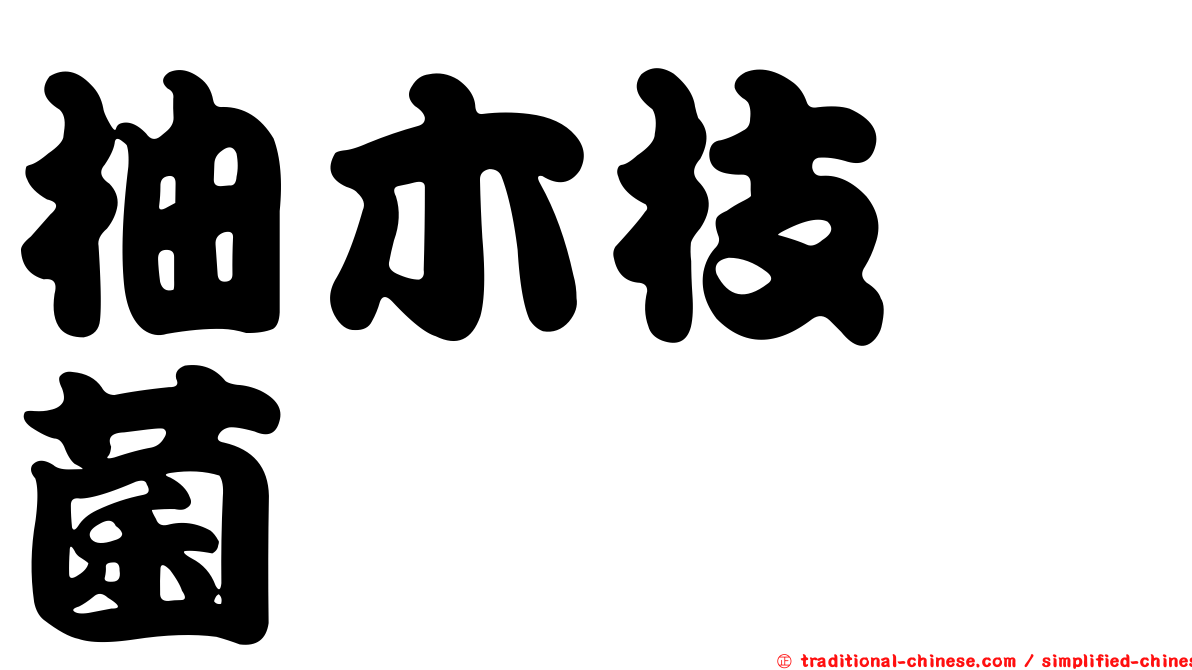 柚木枝孢菌