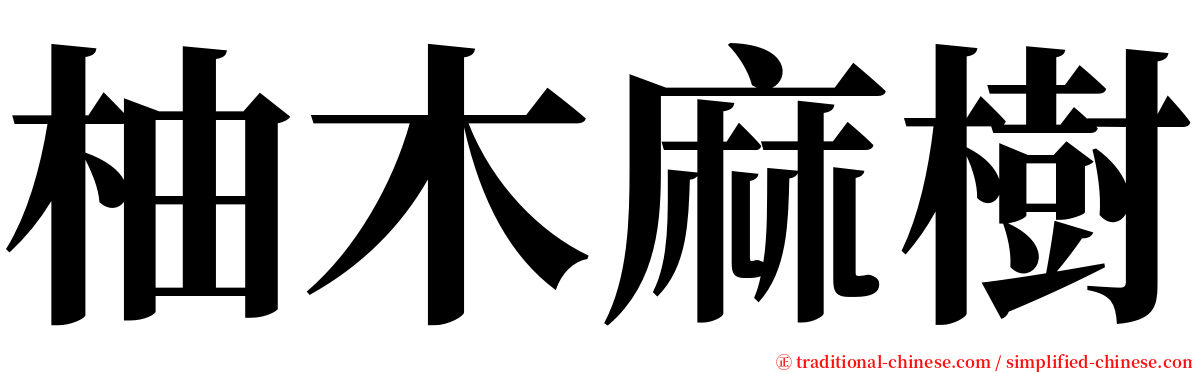 柚木麻樹 serif font