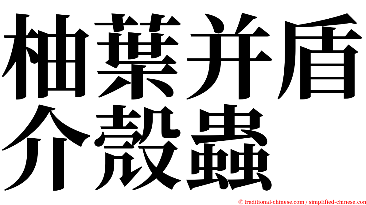 柚葉并盾介殼蟲 serif font