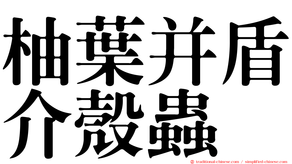 柚葉并盾介殼蟲