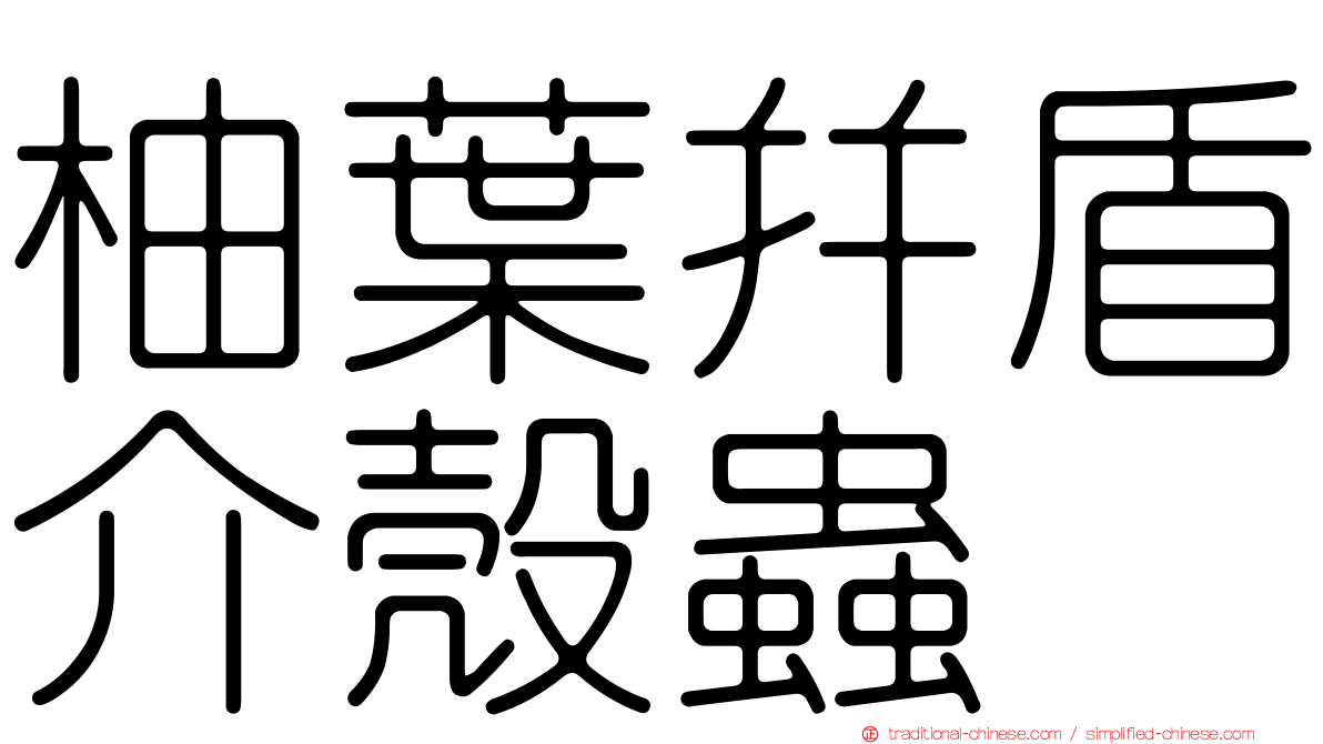柚葉并盾介殼蟲