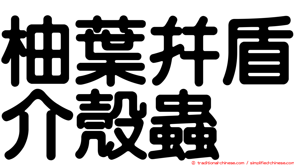 柚葉并盾介殼蟲