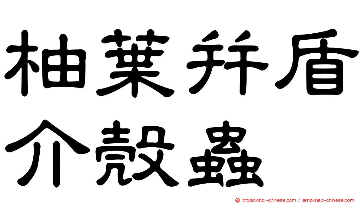 柚葉并盾介殼蟲