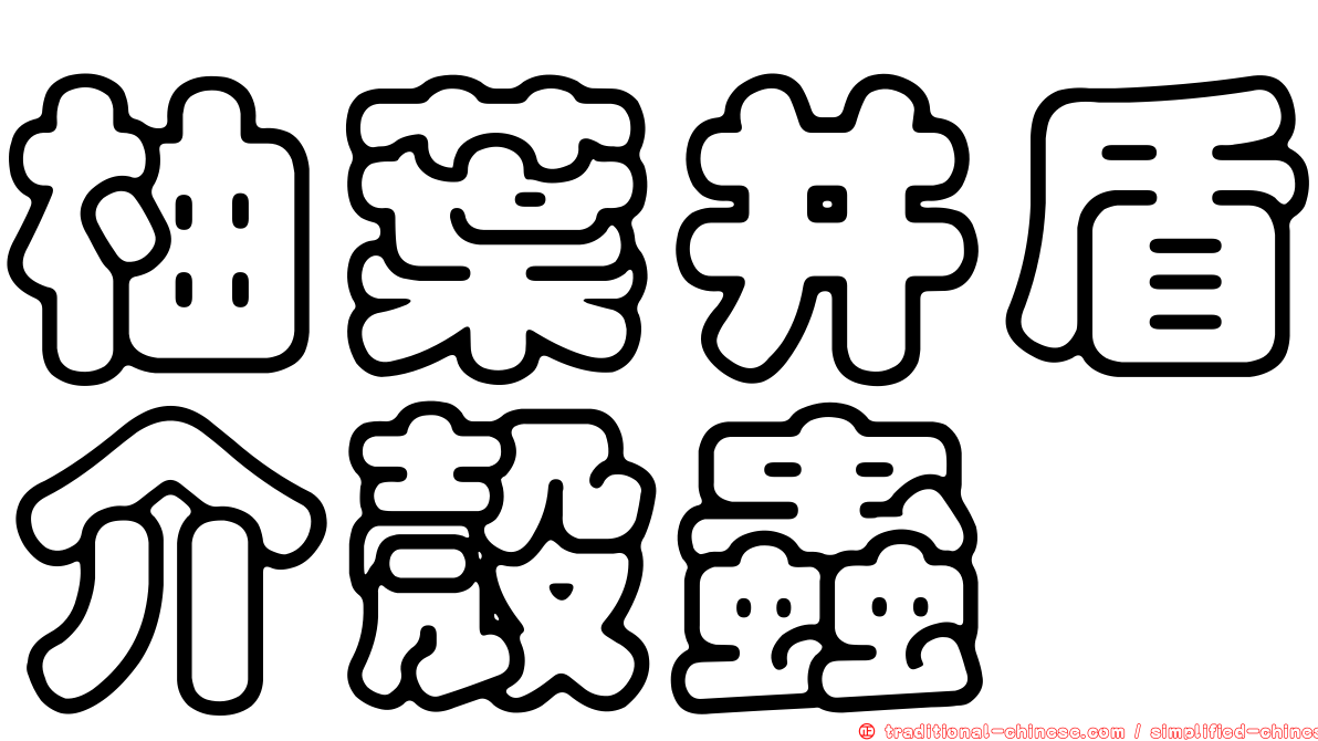 柚葉并盾介殼蟲