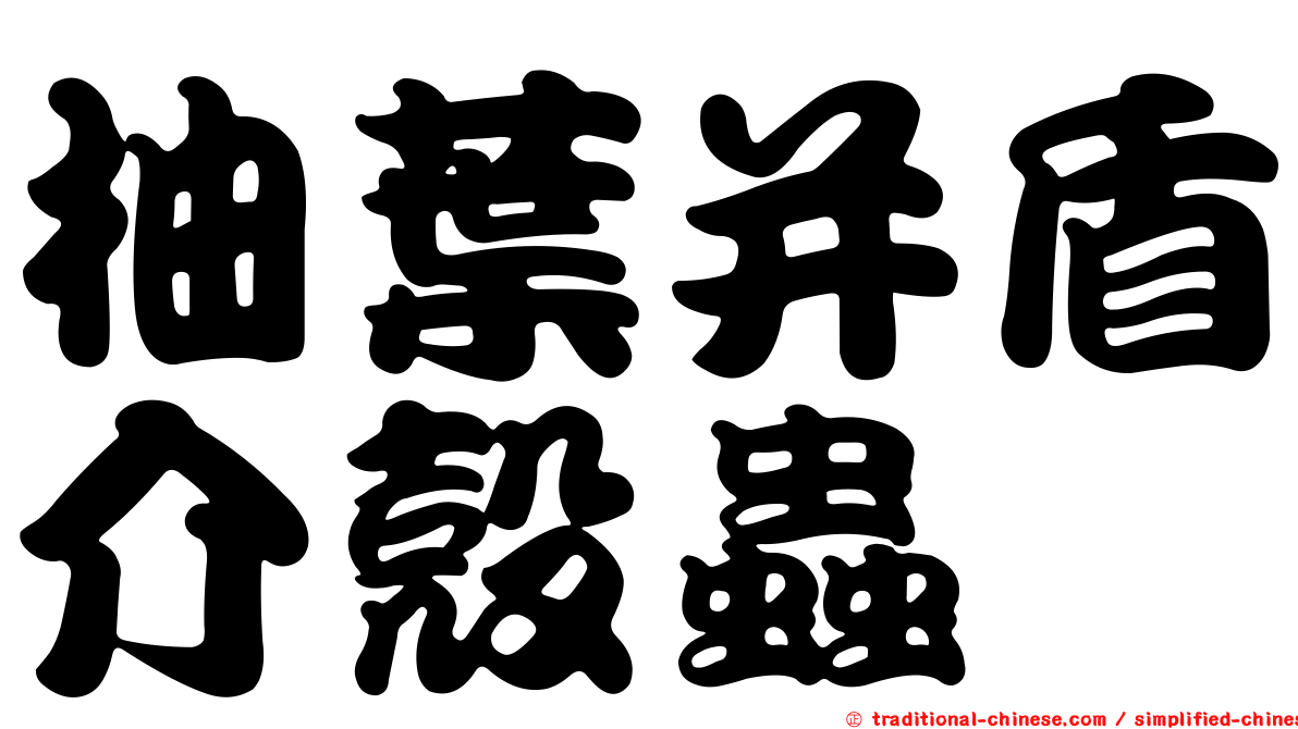 柚葉并盾介殼蟲