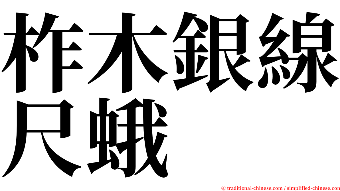 柞木銀線尺蛾 serif font