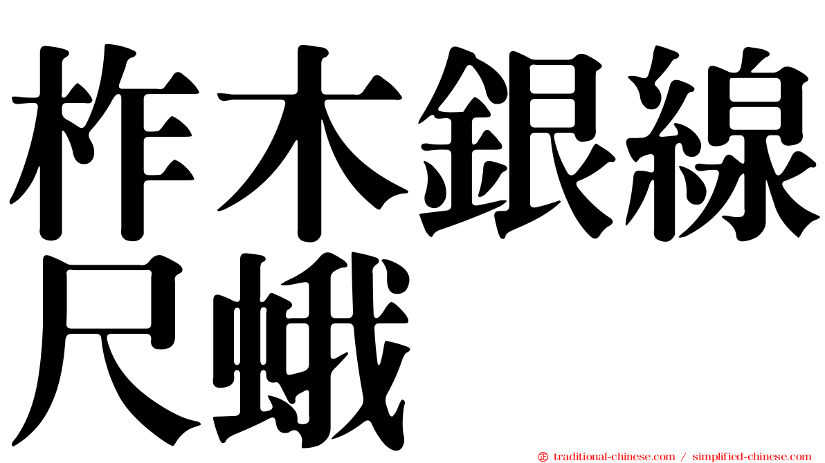 柞木銀線尺蛾
