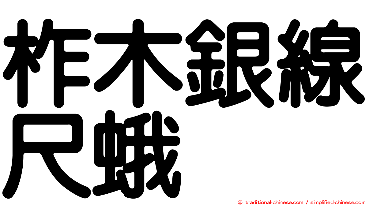 柞木銀線尺蛾