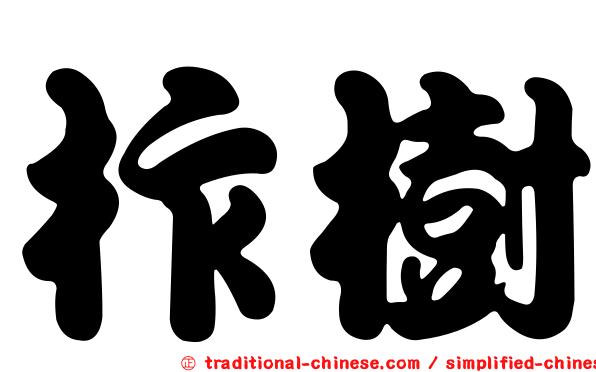 柞樹