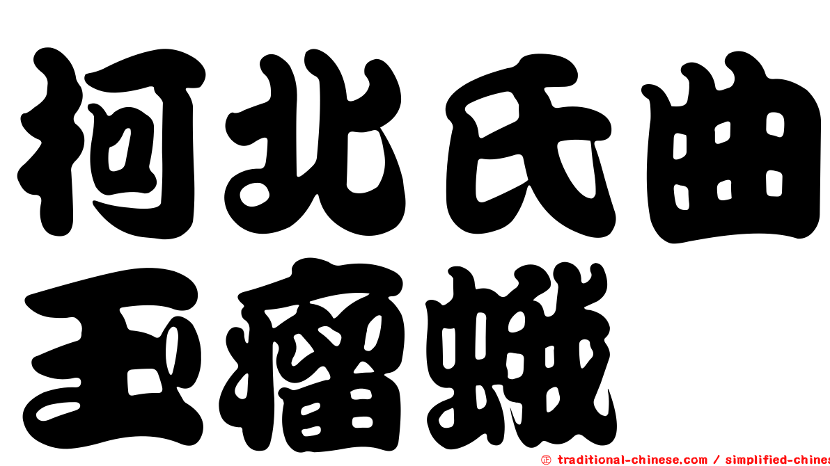 柯北氏曲玉瘤蛾