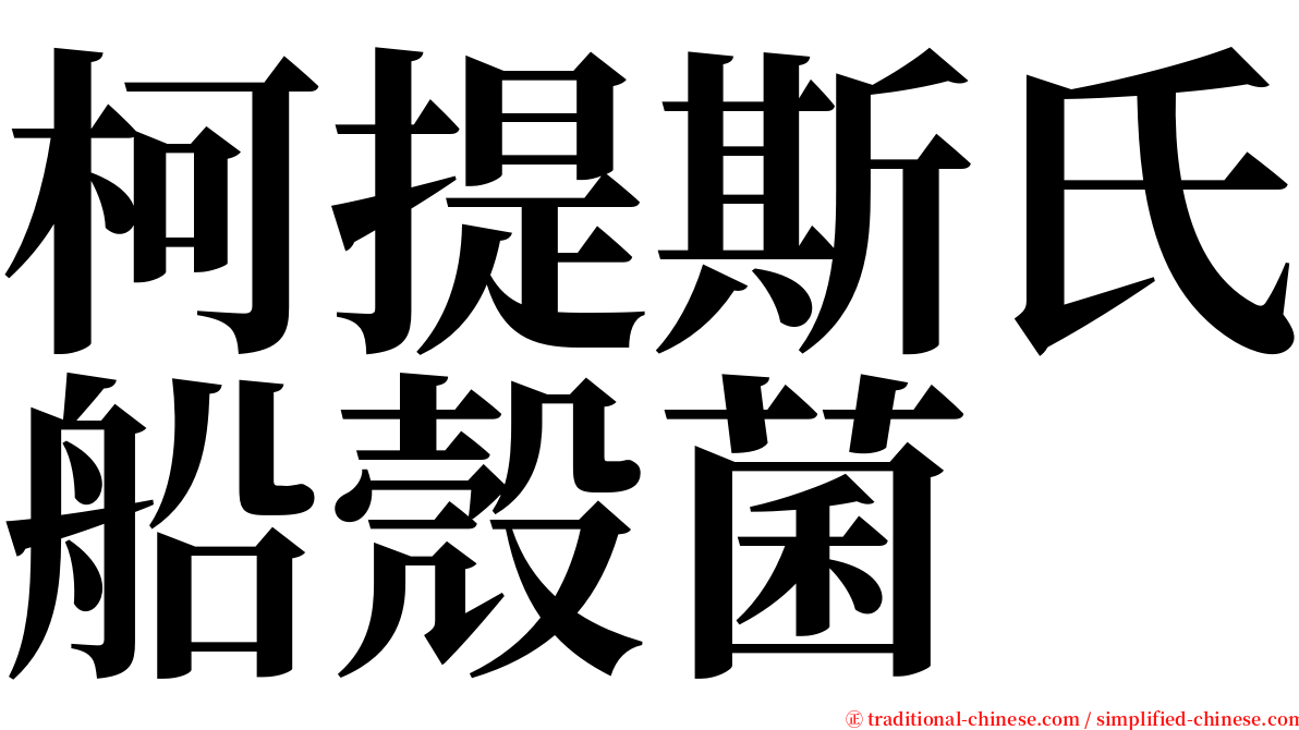 柯提斯氏船殼菌 serif font