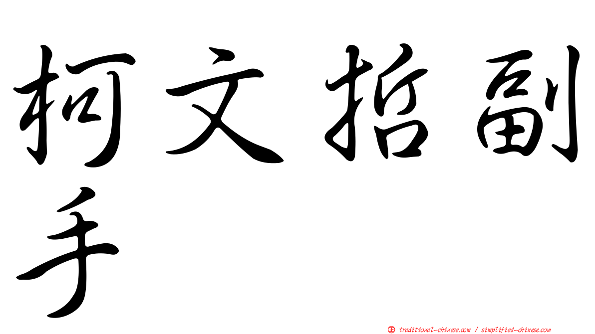 柯文哲副手