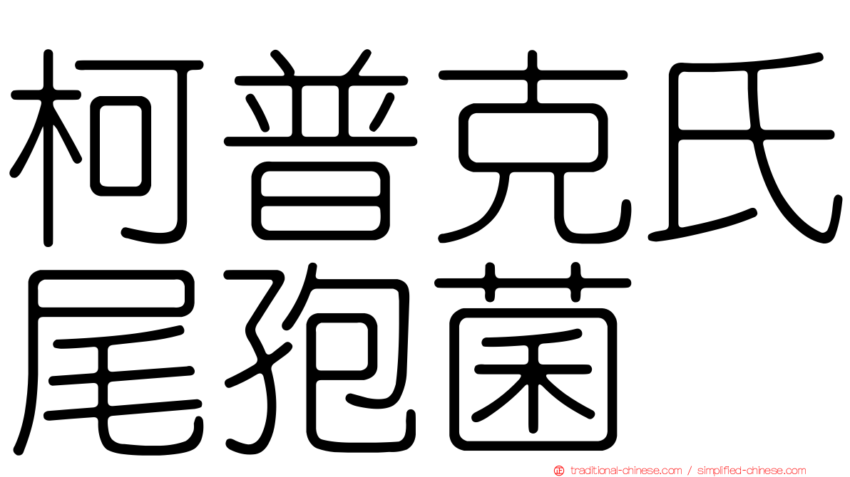 柯普克氏尾孢菌