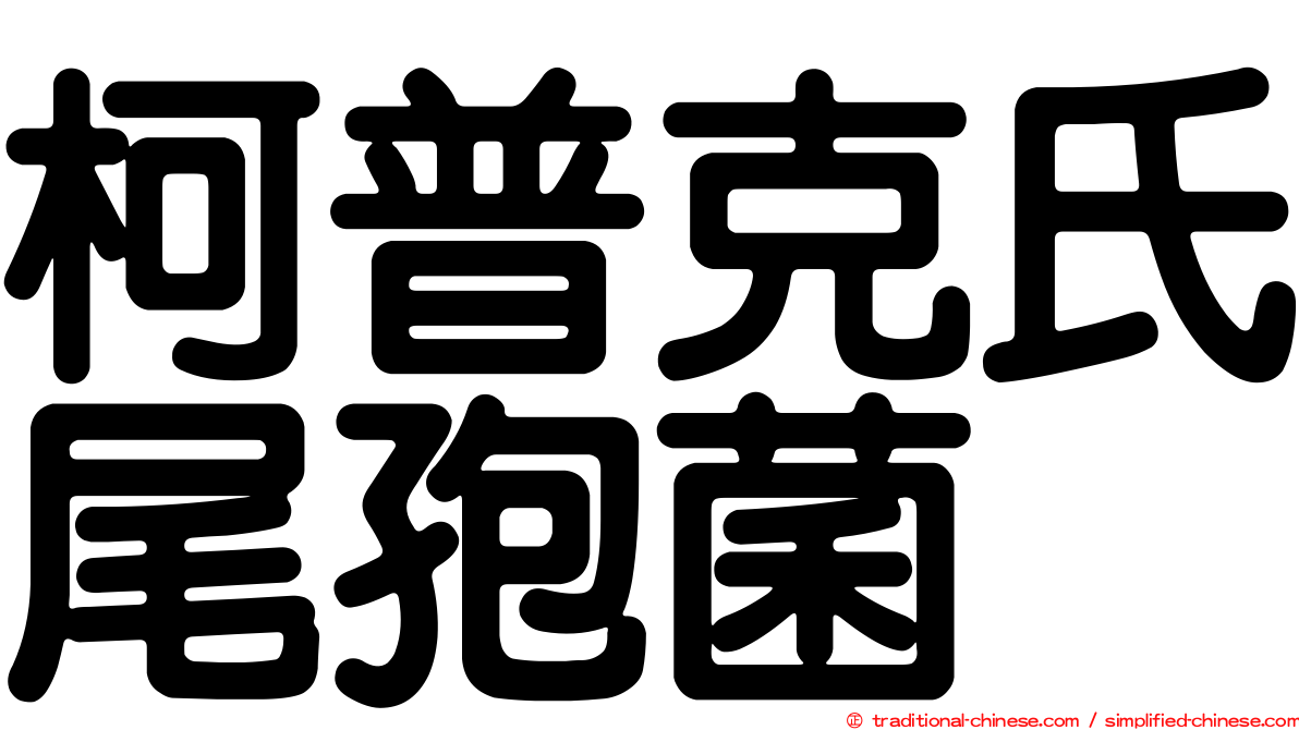 柯普克氏尾孢菌