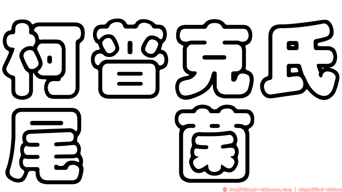柯普克氏尾孢菌