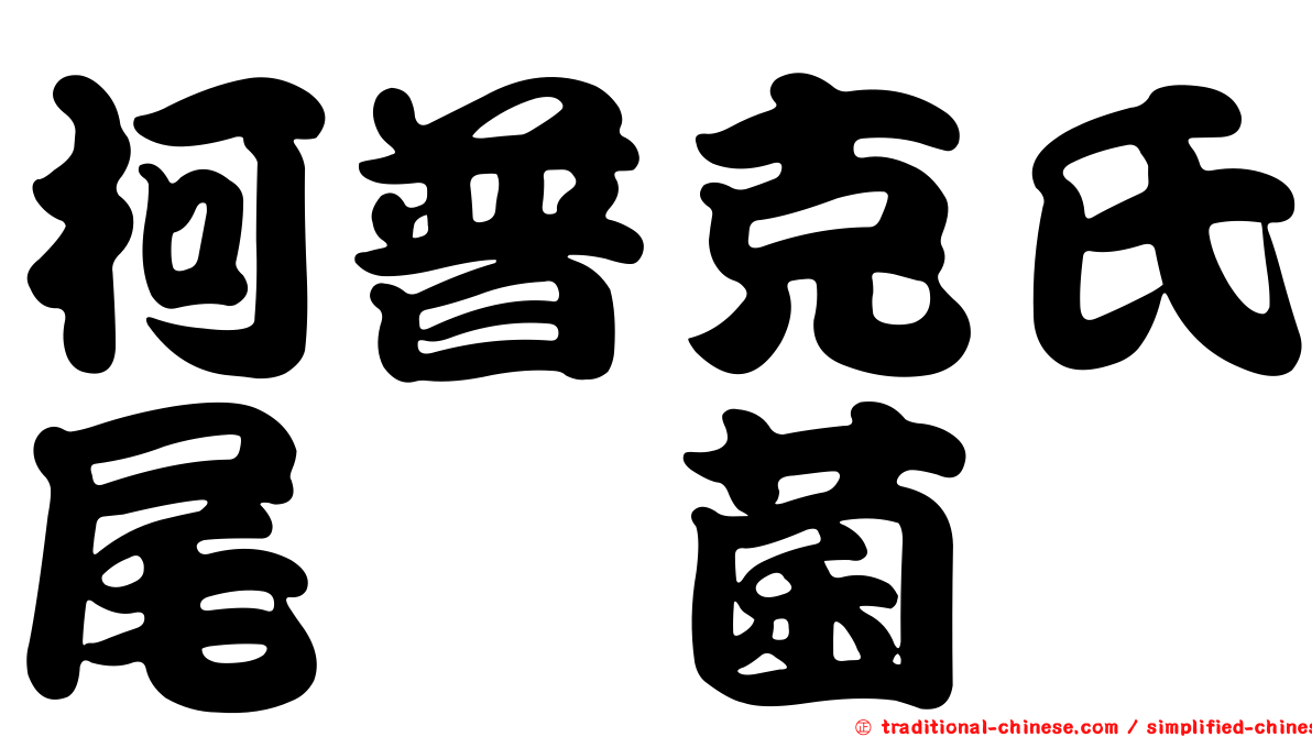 柯普克氏尾孢菌