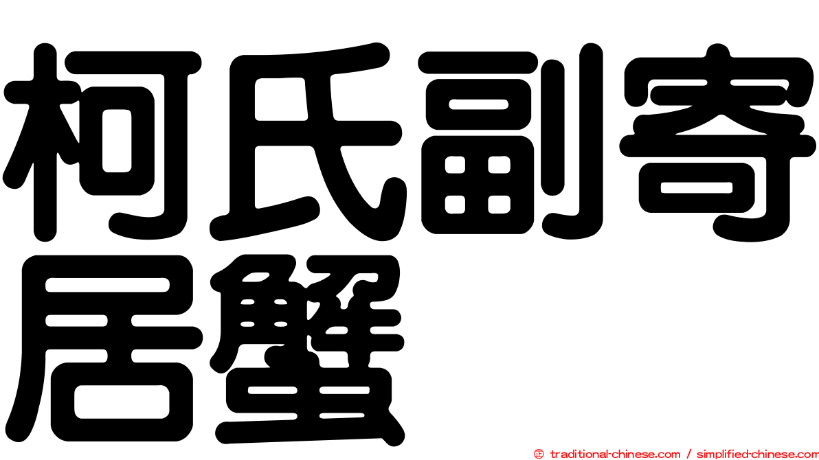 柯氏副寄居蟹
