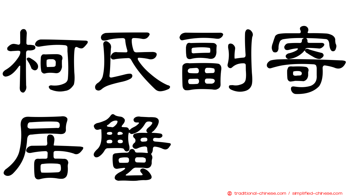 柯氏副寄居蟹