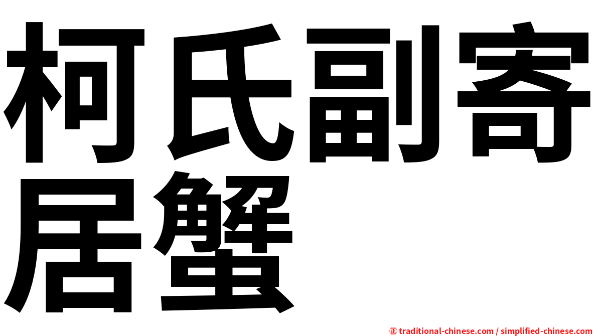 柯氏副寄居蟹